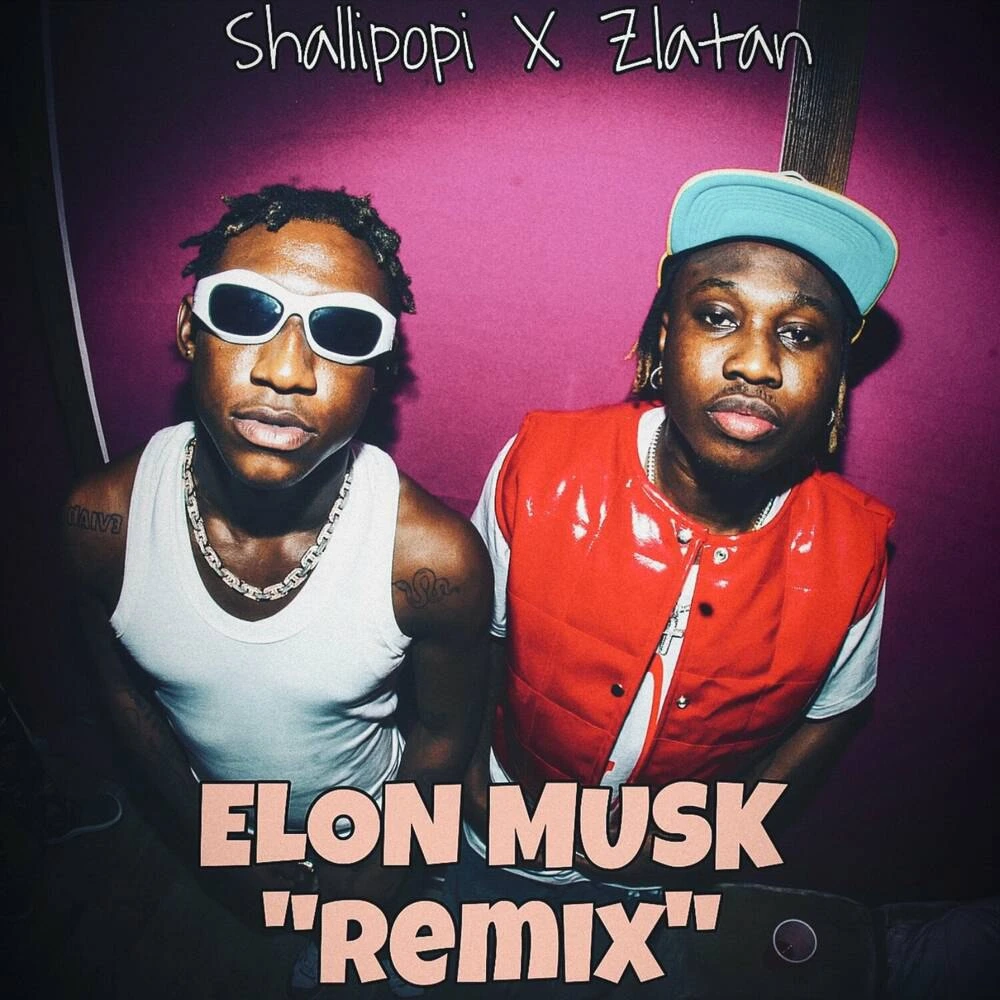 Shallipopi – Elon Musk Remix Ft Zlatan