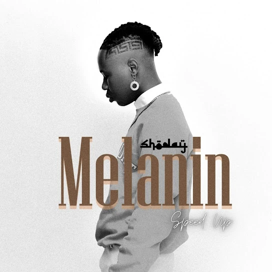 Shoday Melanin (Speed up)